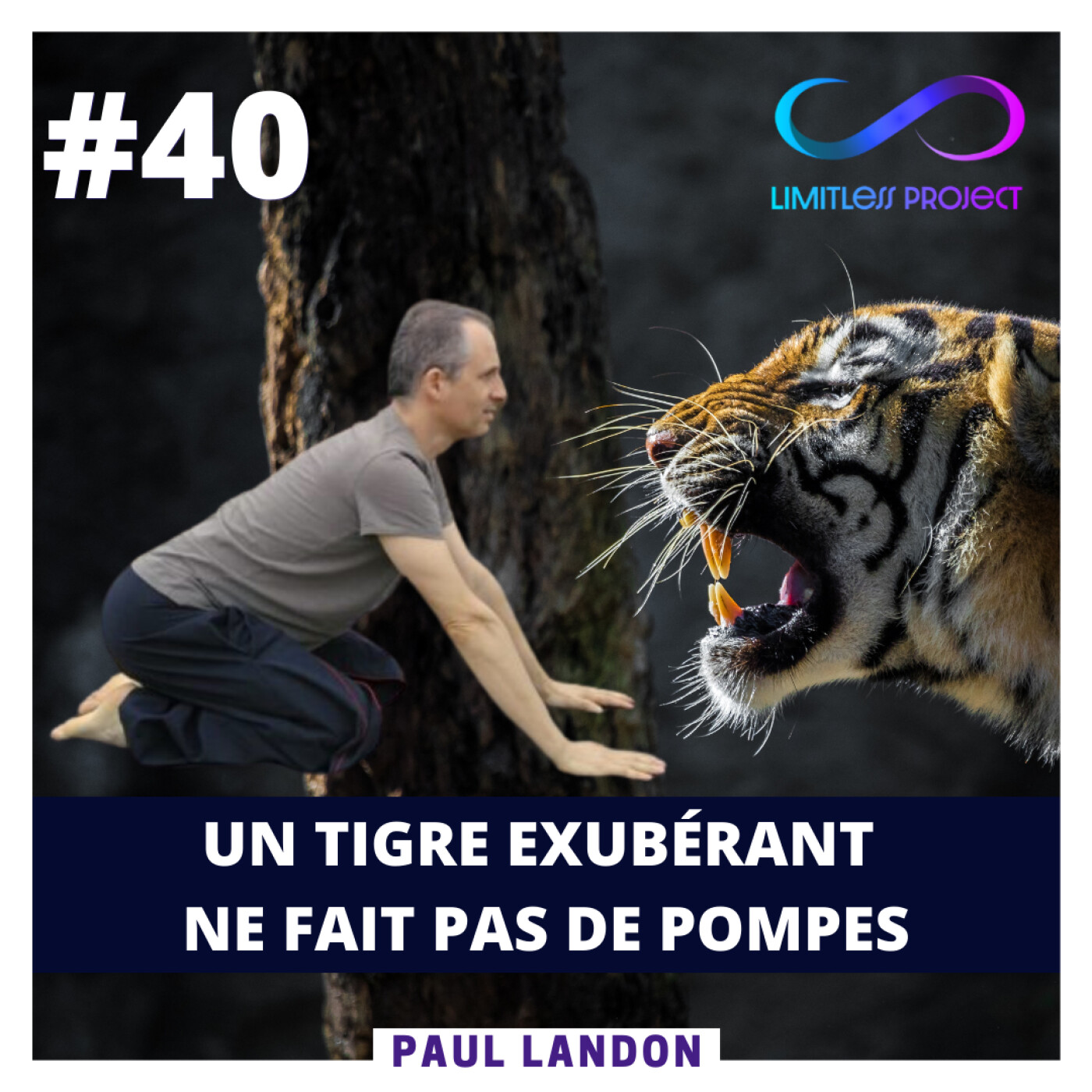 [REDIFF] Un tigre exubérant ne fait pas de pompes - Paul Landon