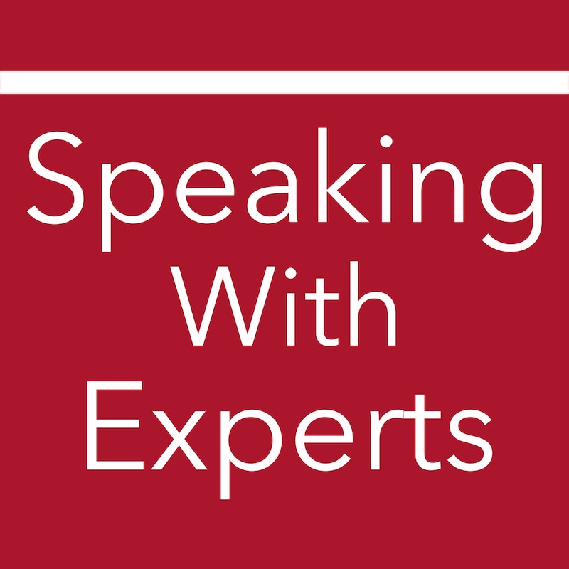 Artwork for podcast Speaking With Experts