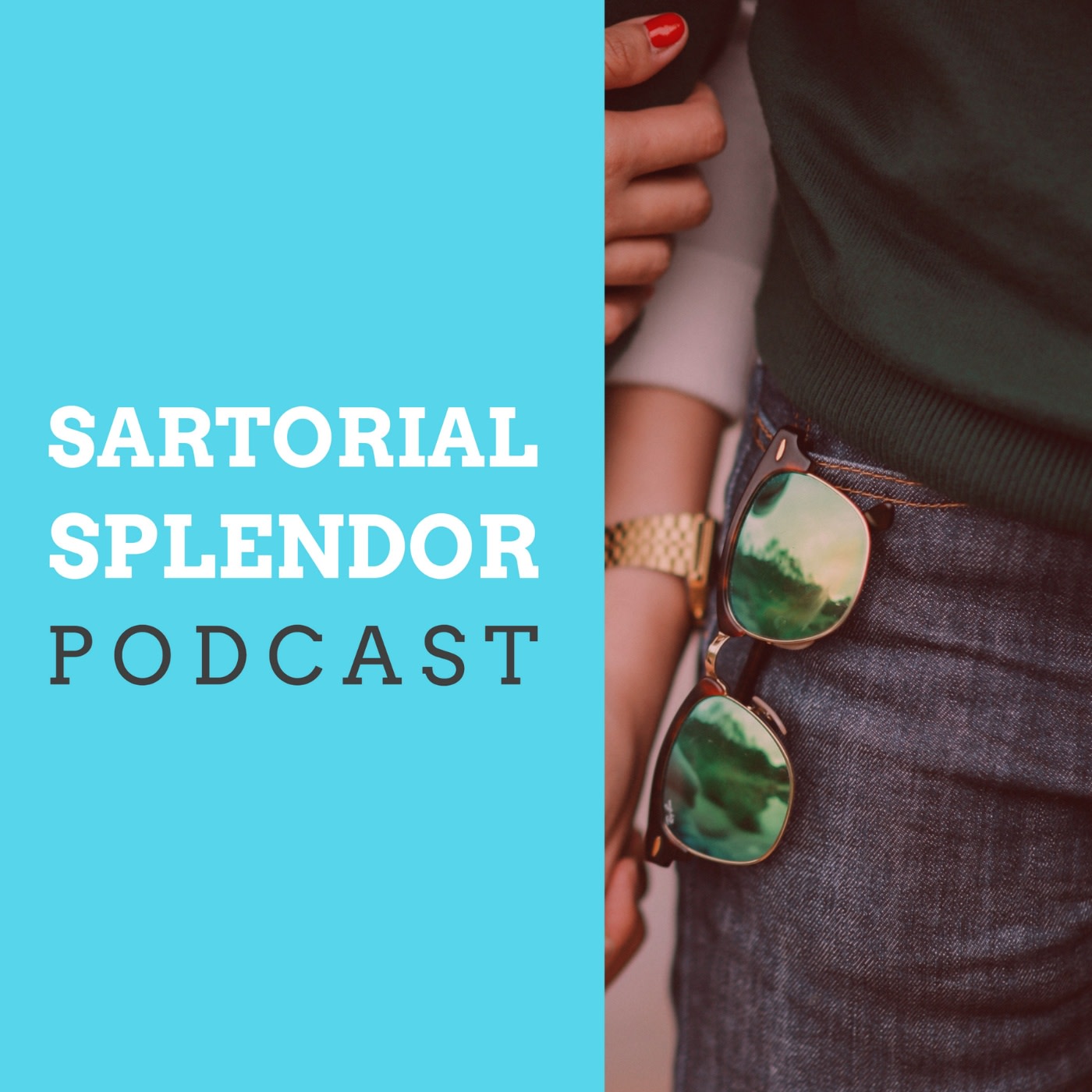 Artwork for podcast Sartorial Splendor