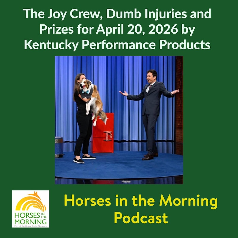 Artwork for podcast Horses in the Morning