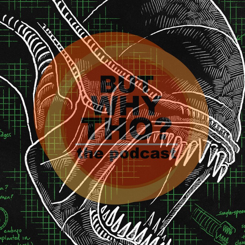 Artwork for podcast But Why Tho?
