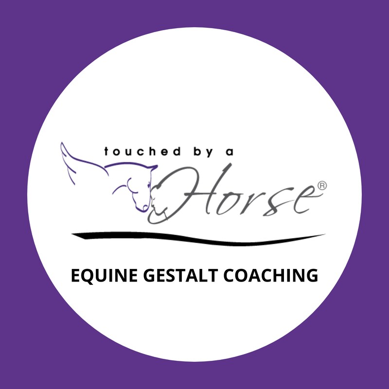 Artwork for podcast Touched By A Horse