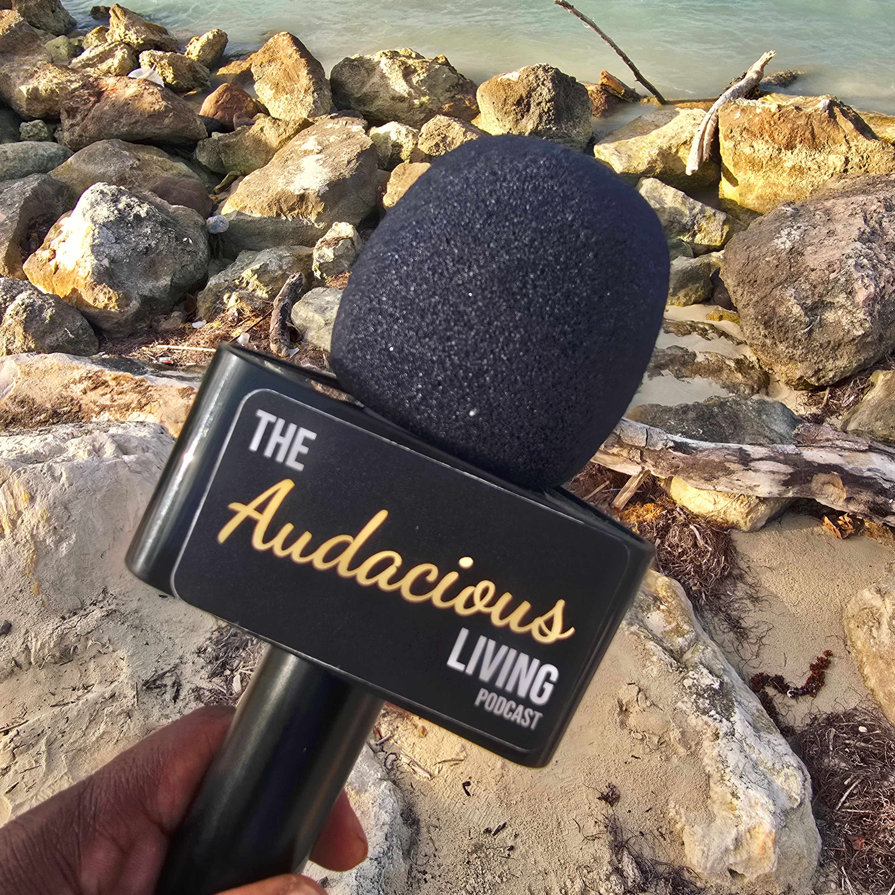 The Audacious Living Podcast