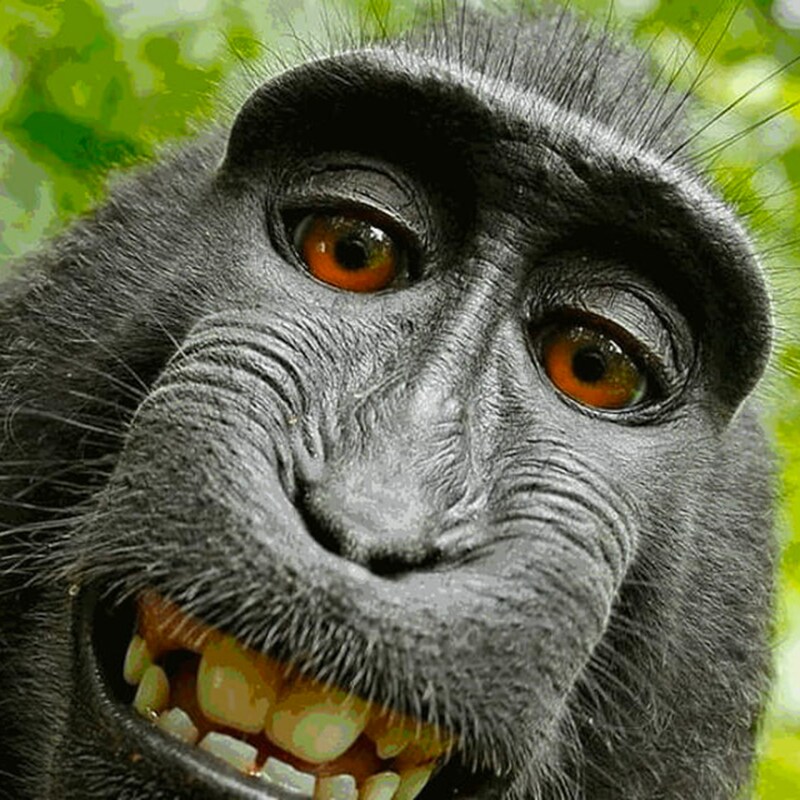 Artwork for podcast TheBigFatVoice Psicologia, Musica & Teatro