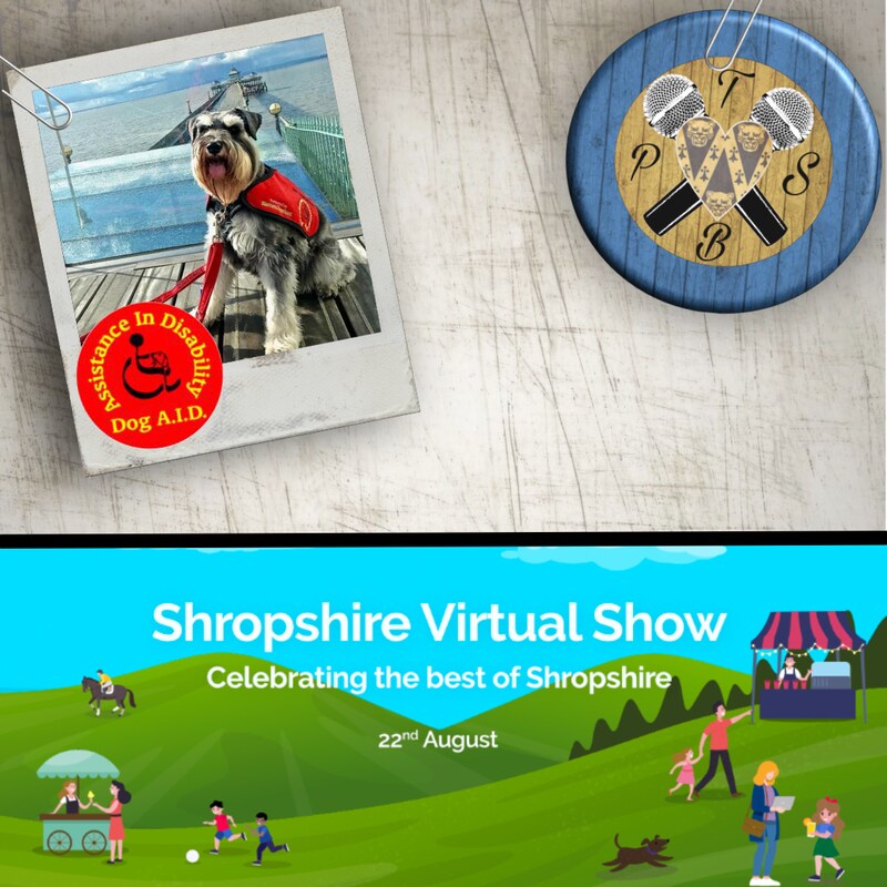 Artwork for podcast The Shrewsbury Biscuit Podcast