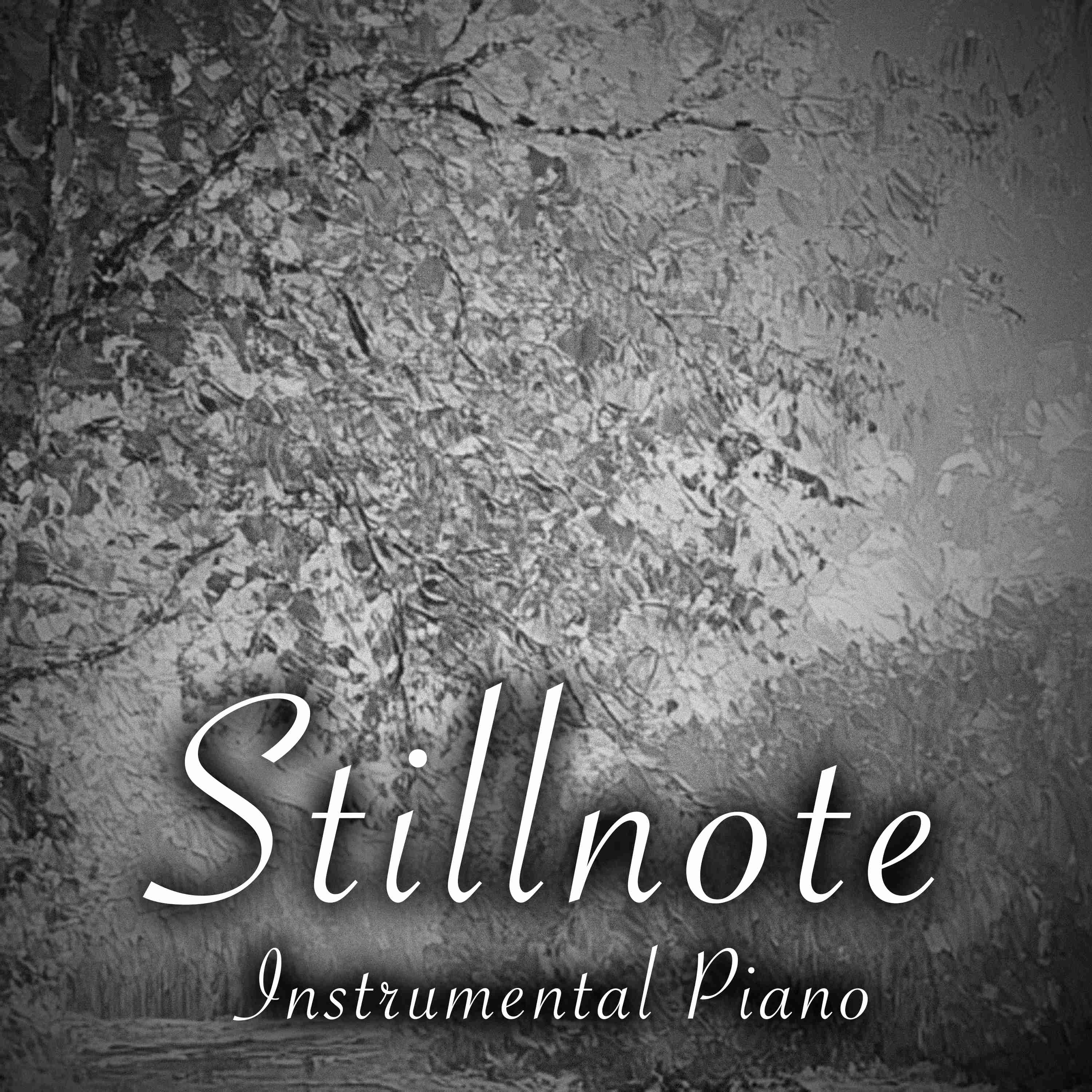 Instrumental Piano for ADHD with Morning Birds - 4 Hours - "Midnight Bloom" episode artwork