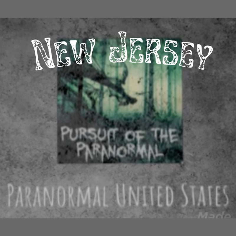 Artwork for podcast Pursuit of the Paranormal