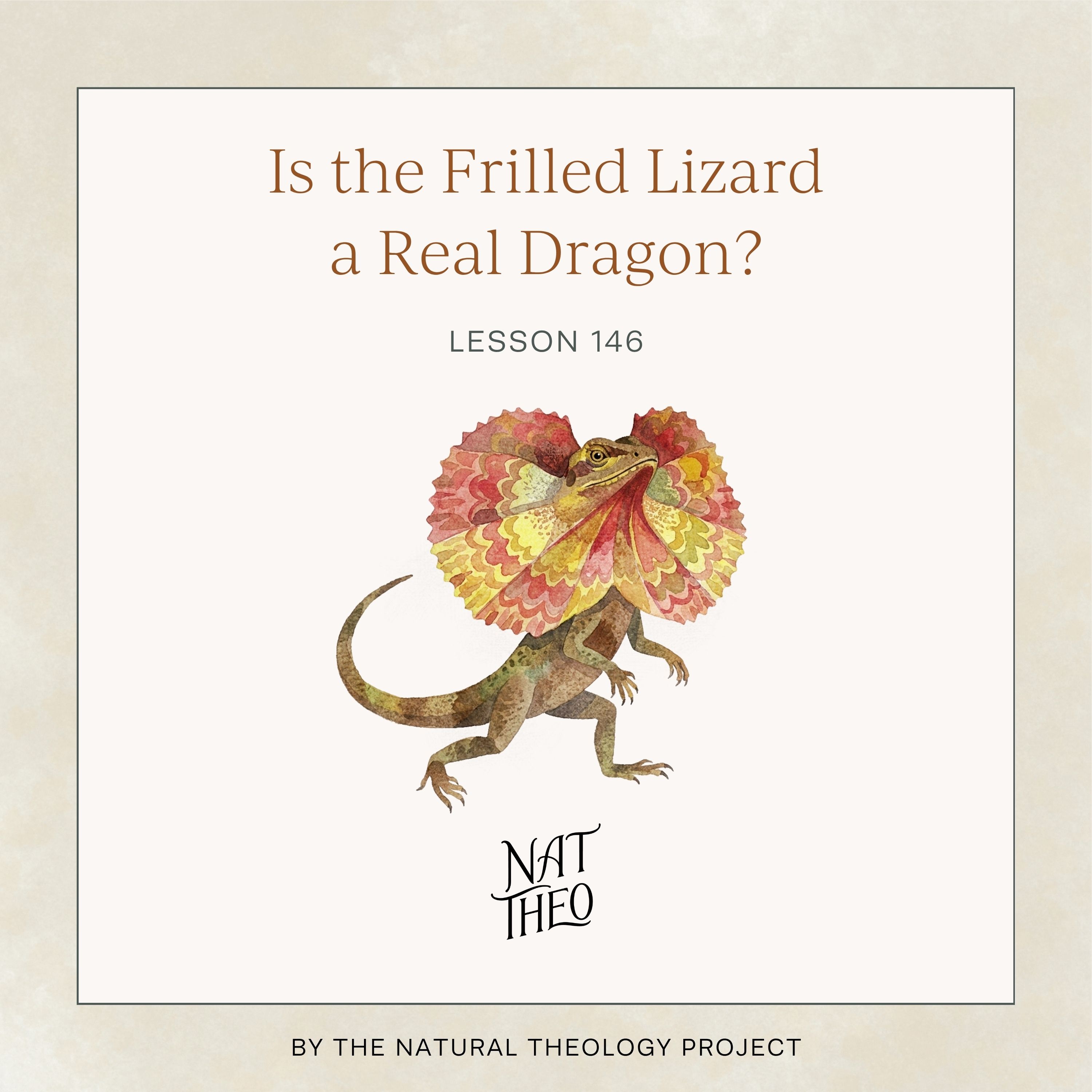 Is the Frilled Lizard a Real Dragon? Lesson 146
