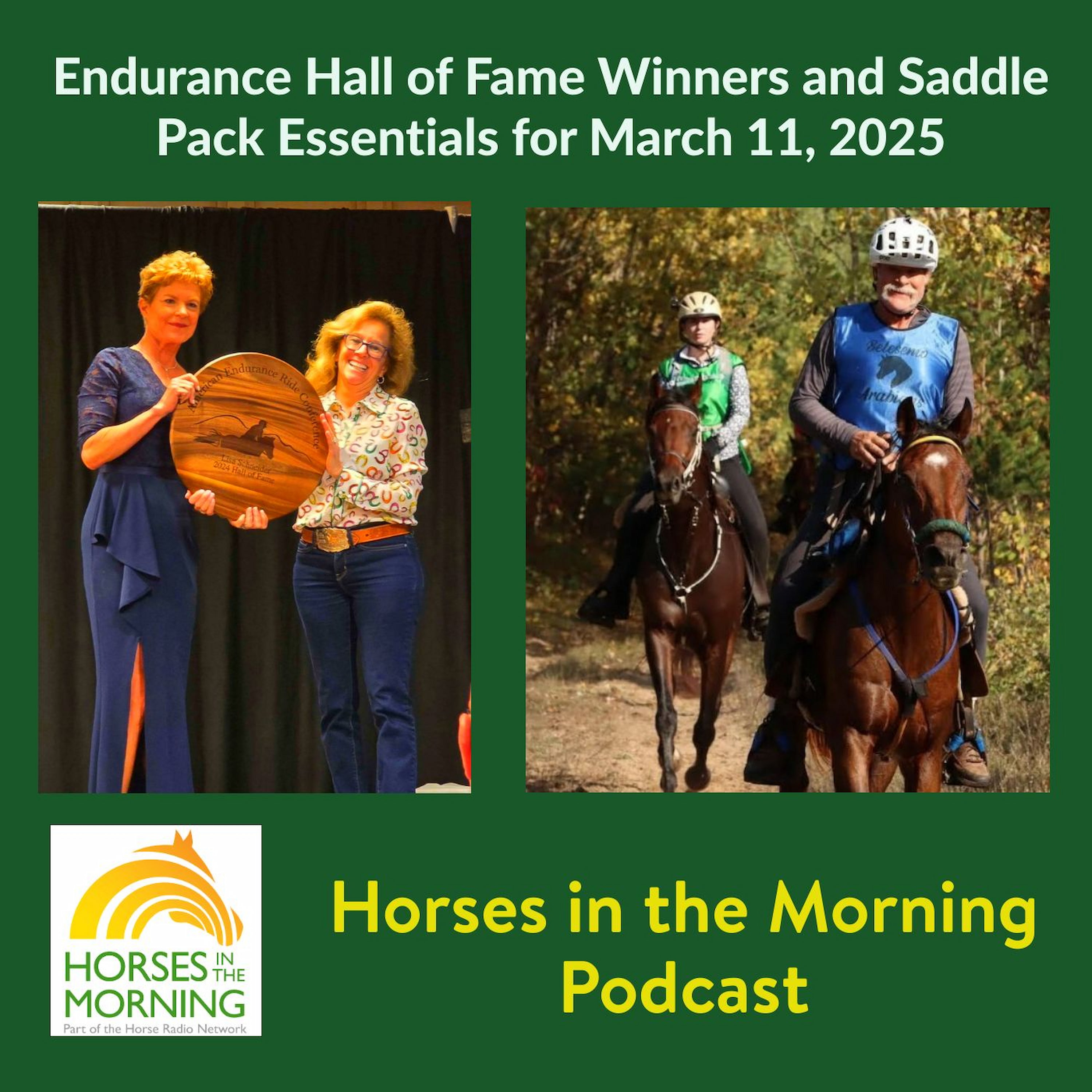 Endurance Rider