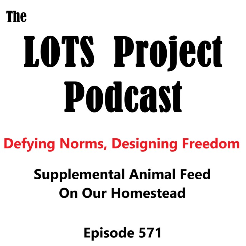 Artwork for podcast The LOTS Project Morning Show