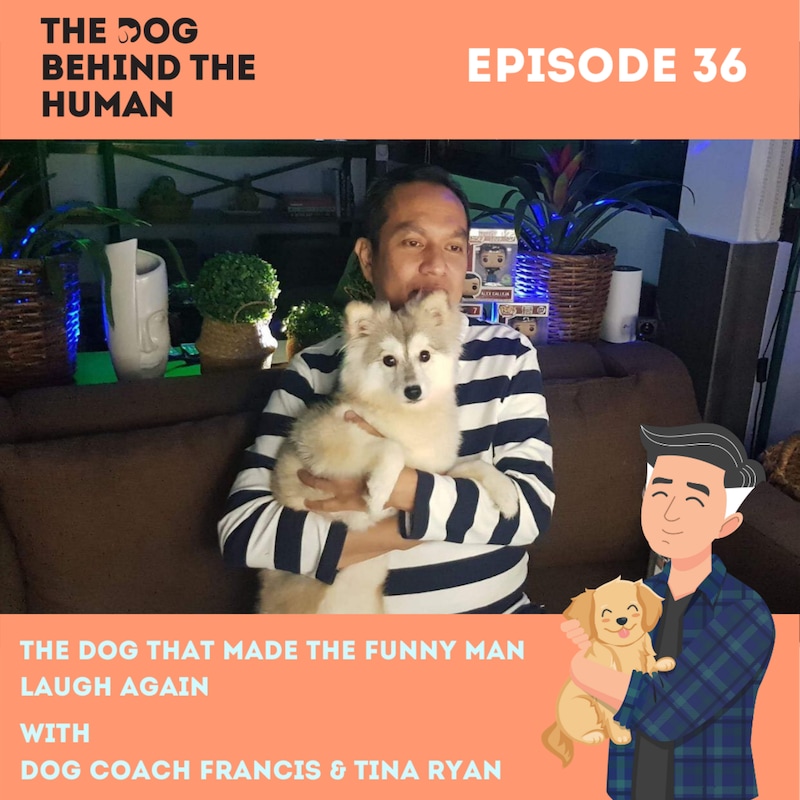 Artwork for podcast The Dog Behind The Human