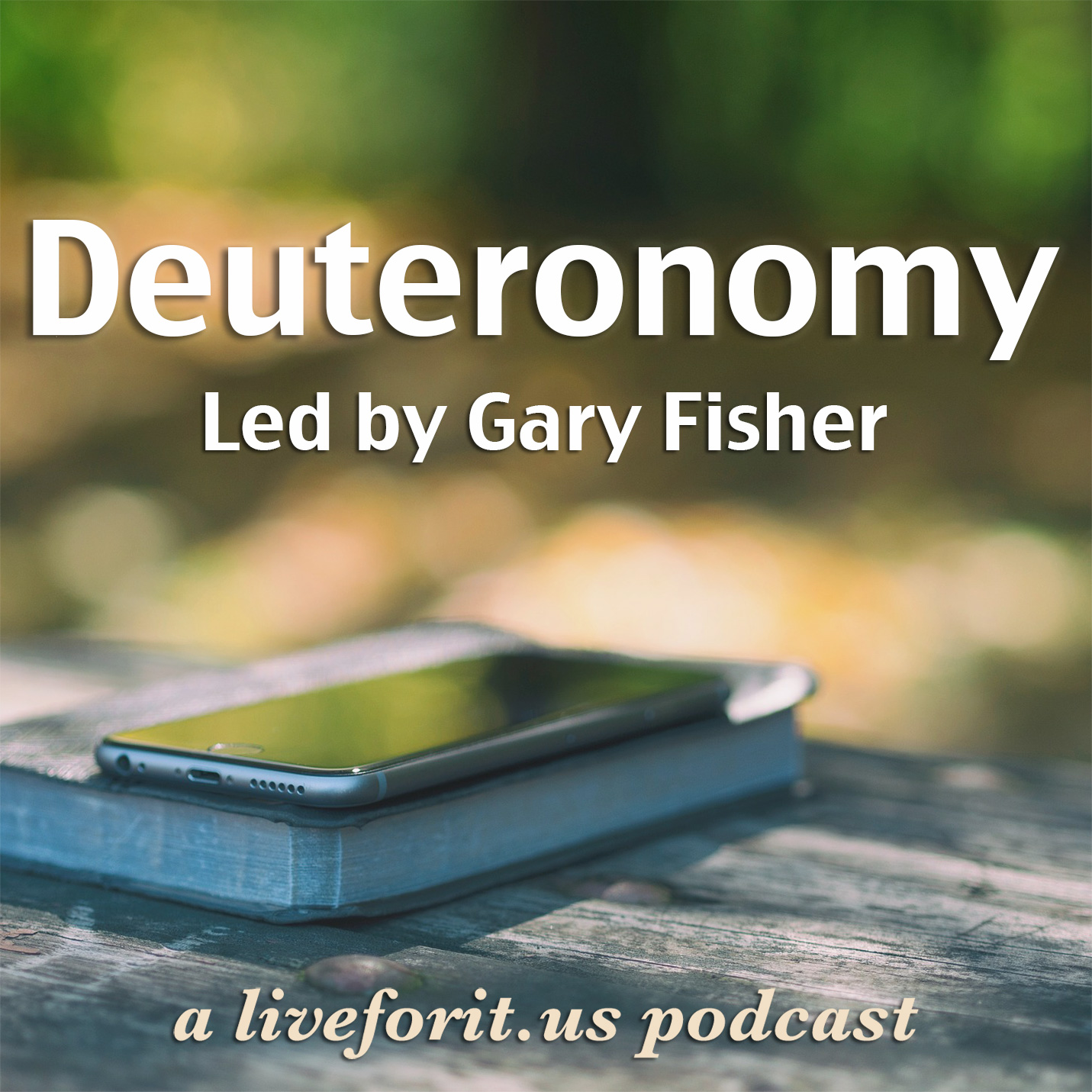 Artwork for podcast Liveforit Deuteronomy Study