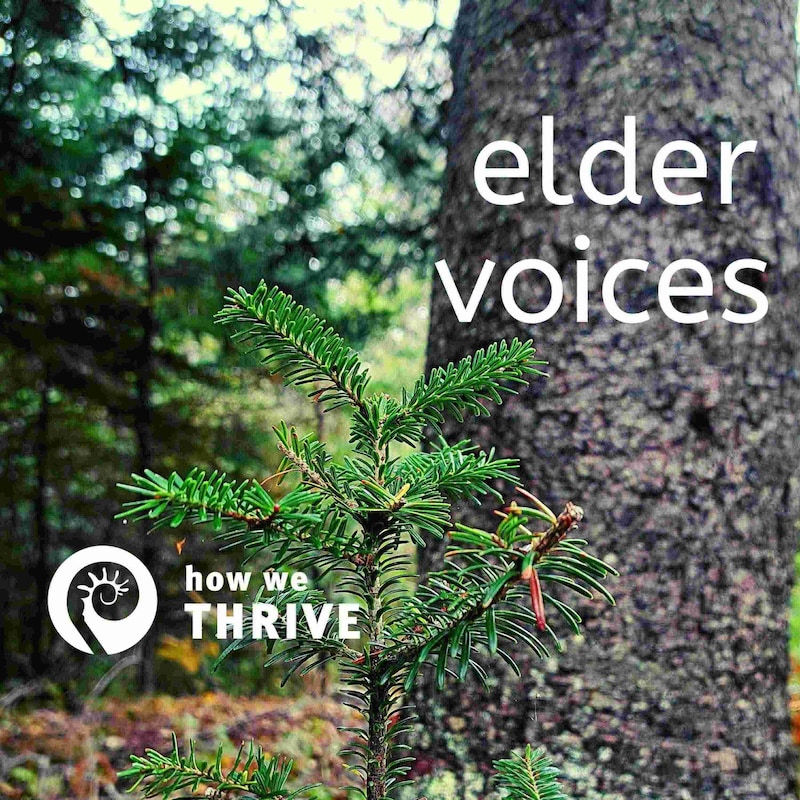 Artwork for podcast Elder Voices