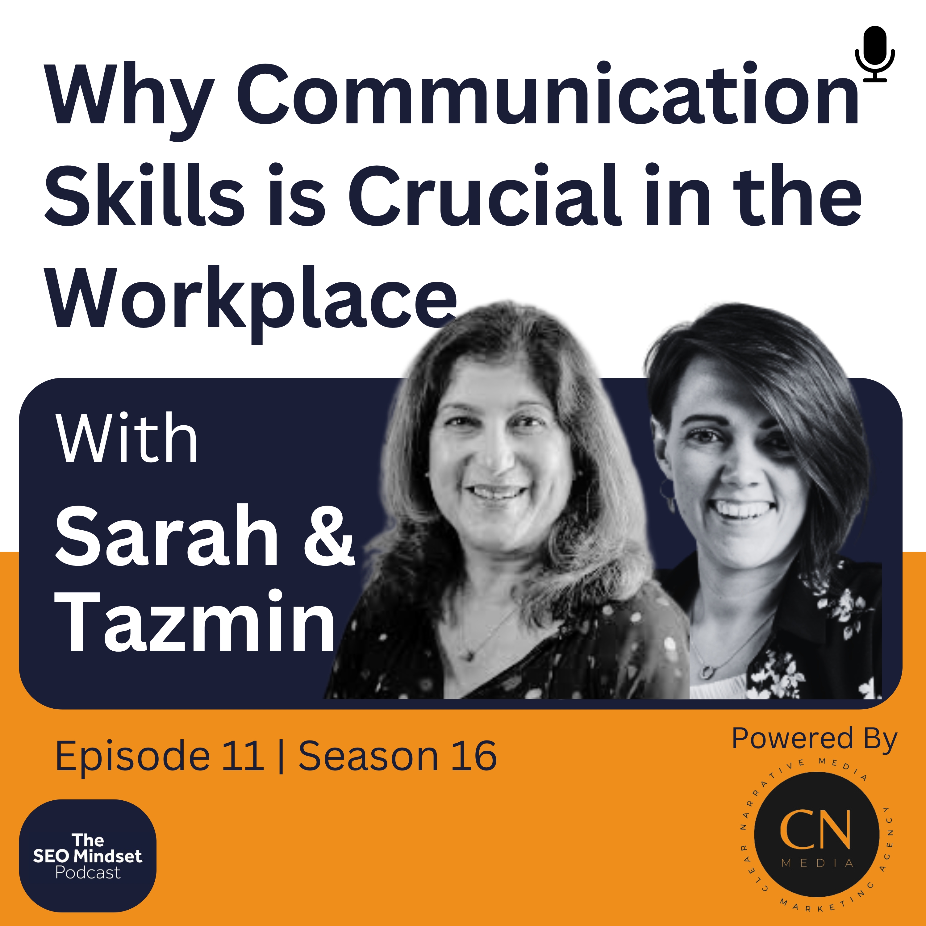 Why Communication Skills are Crucial in the Workplace episode artwork