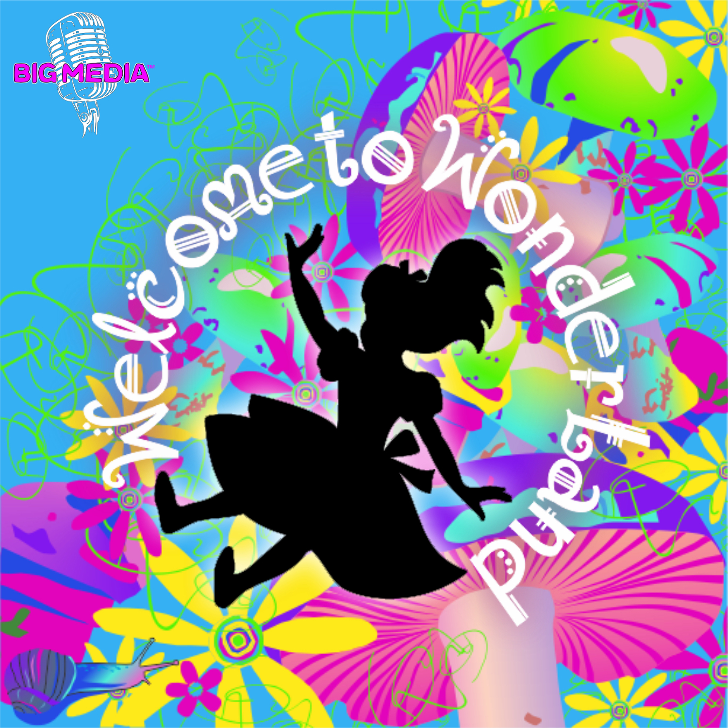 Artwork for Welcome To Wonder Land