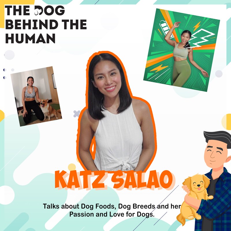Artwork for podcast The Dog Behind The Human