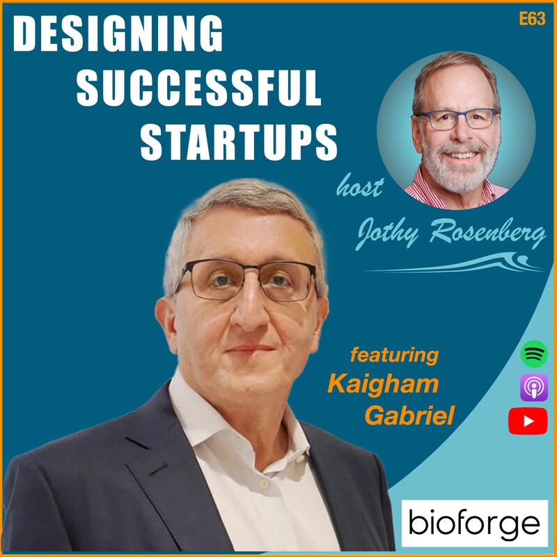 Artwork for podcast Designing Successful Startups