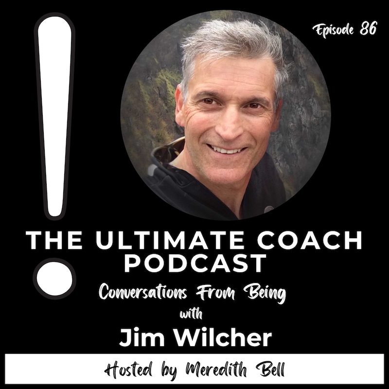 Artwork for podcast The Ultimate Coach Podcast