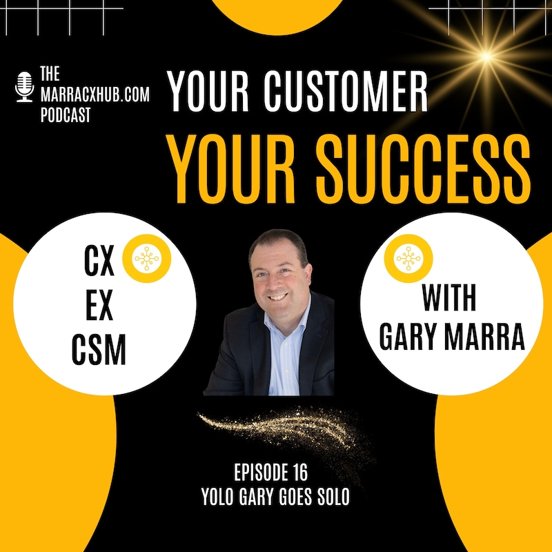 Artwork for podcast Your Customer, Your Success
