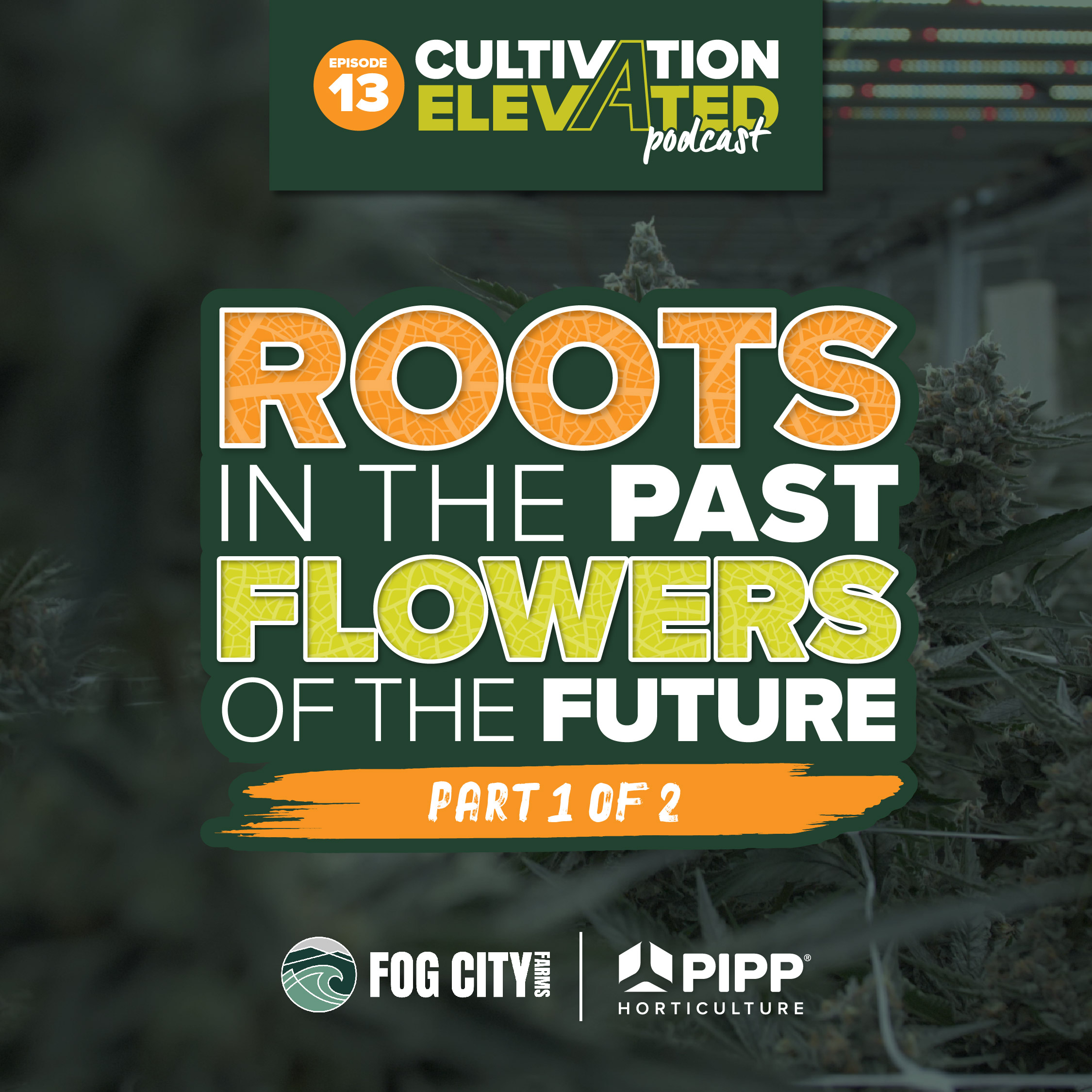 Cultivation Elevated - Indoor Farming, Cannabis Growers & Cultivators - Pipp Horticulture