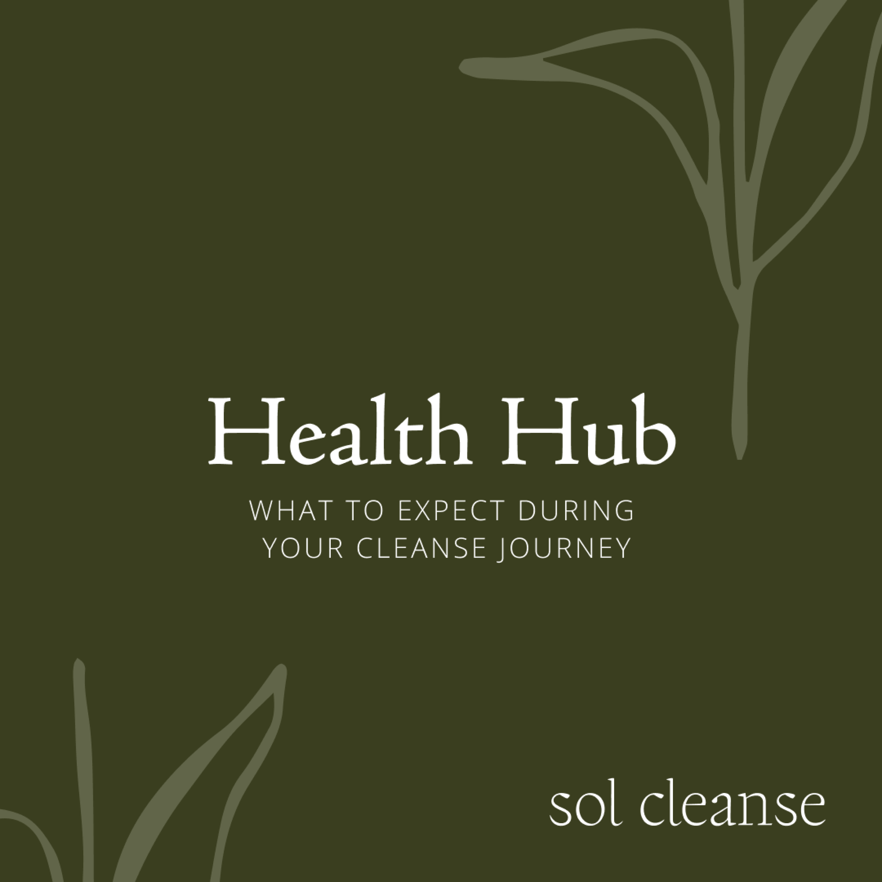 Health Hub: What to expect during your cleanse journey