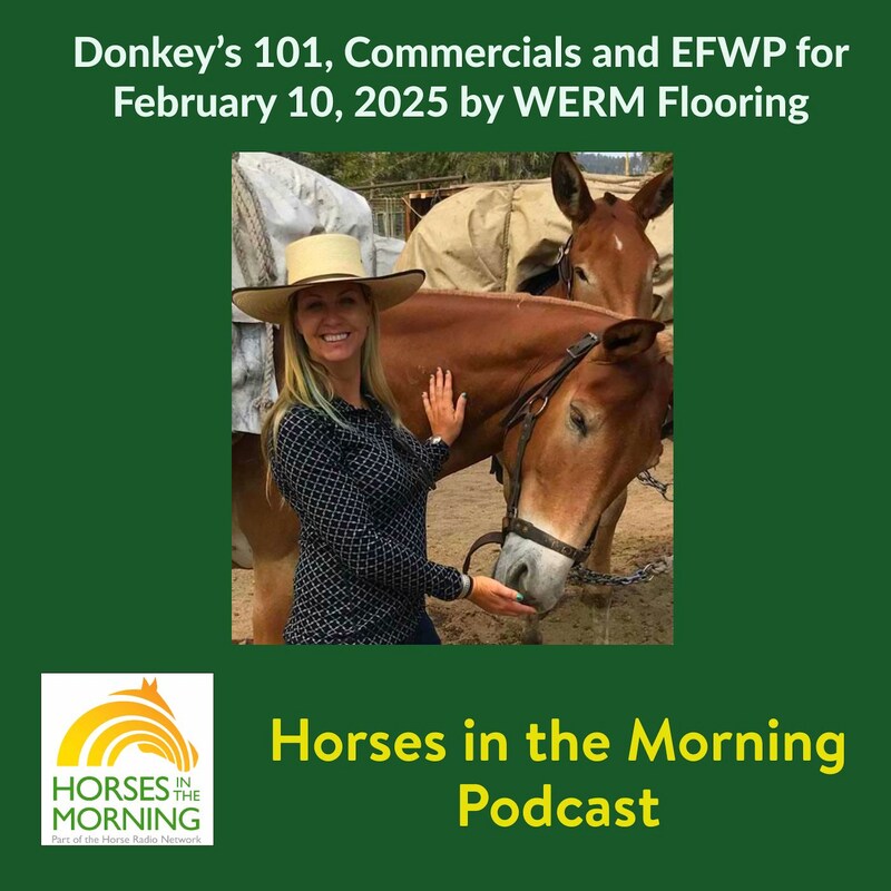 Artwork for podcast HORSES IN THE MORNING