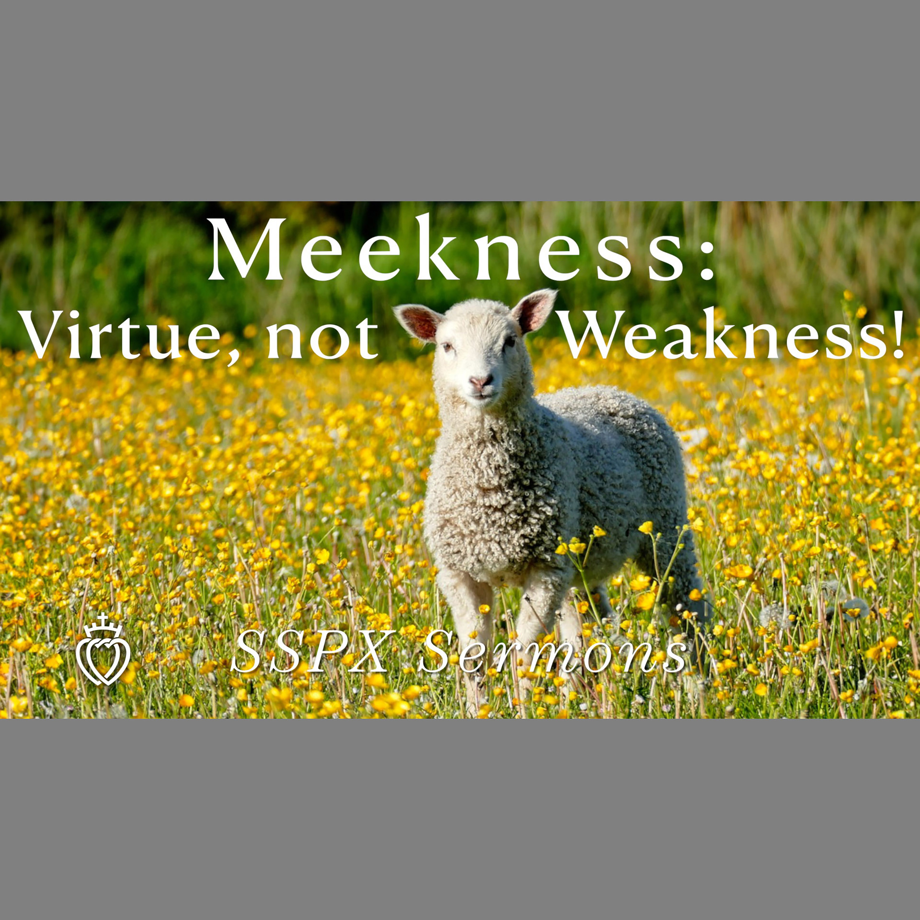 Meekness: Virtue, not Weakness! - SSPX Sermons