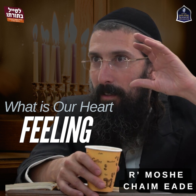 Artwork for podcast Kollel Toras Chaim All Shiurim