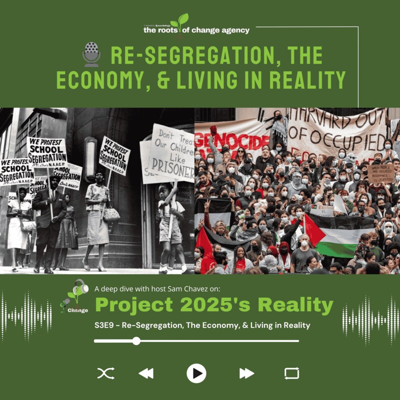 Artwork for podcast the roots of change podcast
