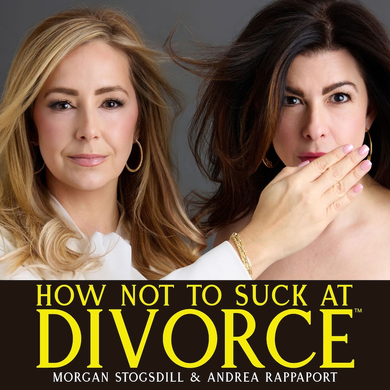 Artwork for podcast How Not To Suck At Divorce