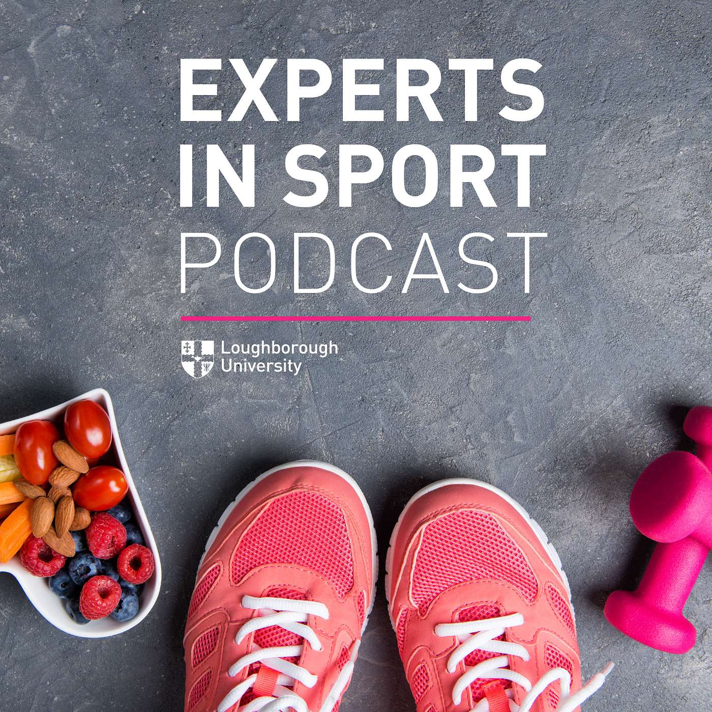 Experts in Sport