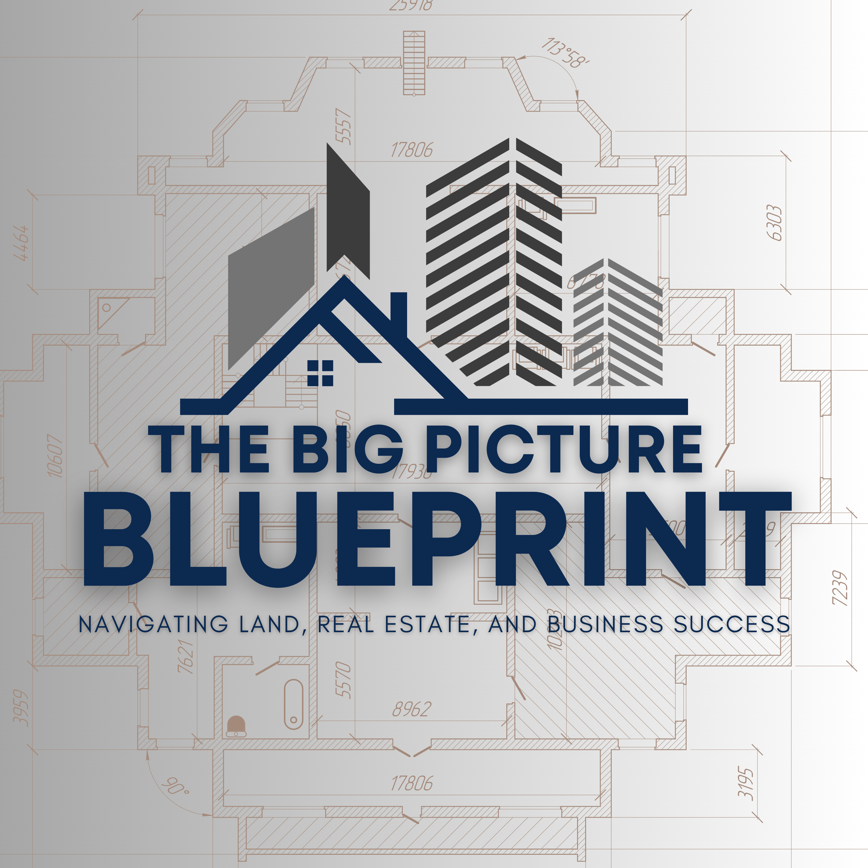 Artwork for The Big Picture Blueprint: Navigating Land, Real Estate, and Business Success