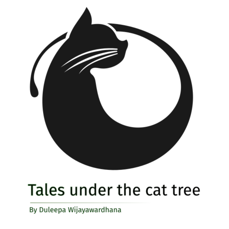 Artwork for podcast Tales under the cat tree: Conversations on Imagination, Tech & Human Adventure
