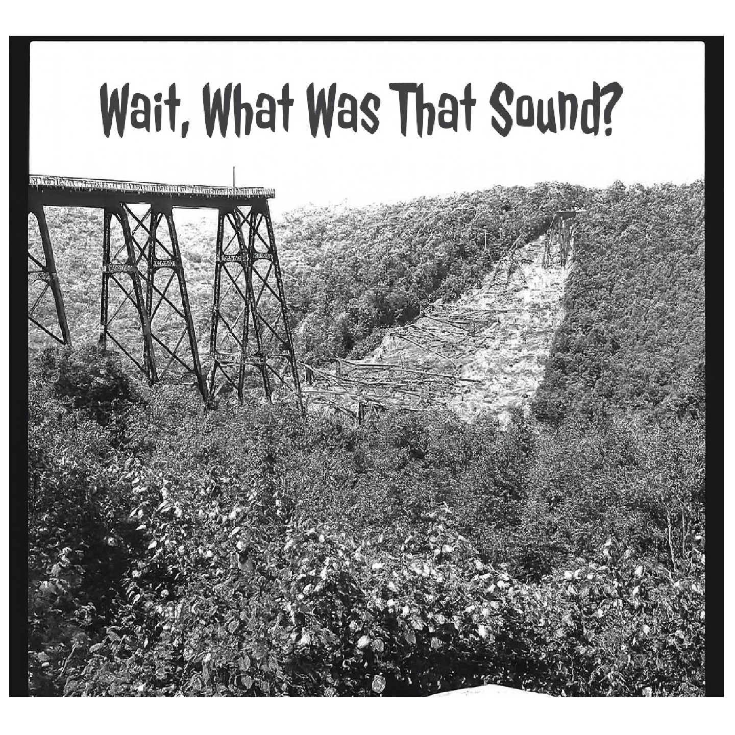 Artwork for Wait What Was That Sound?