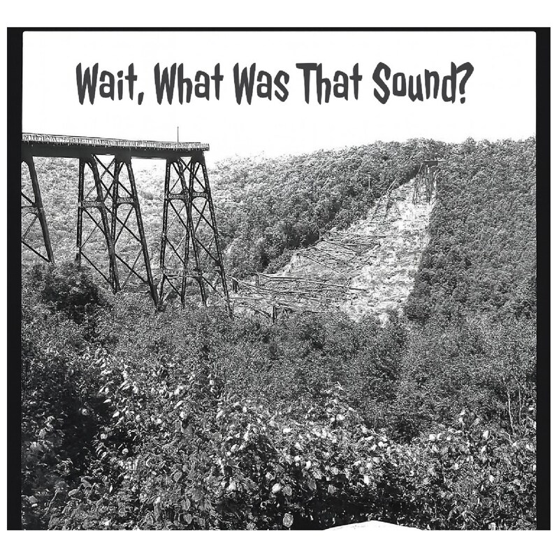 Artwork for podcast Wait What Was That Sound?