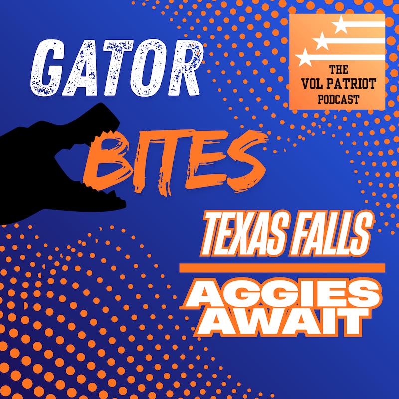 Artwork for podcast The Vol Patriot Podcast