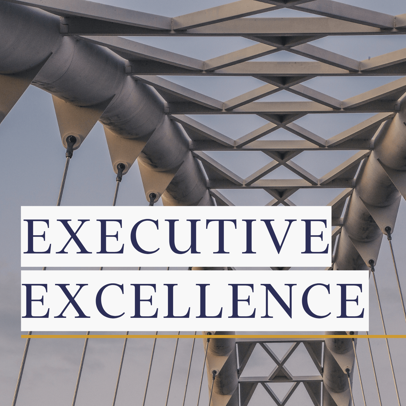Artwork for Executive Excellence