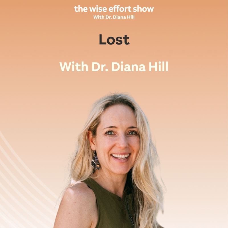 Artwork for podcast The Wise Effort Show