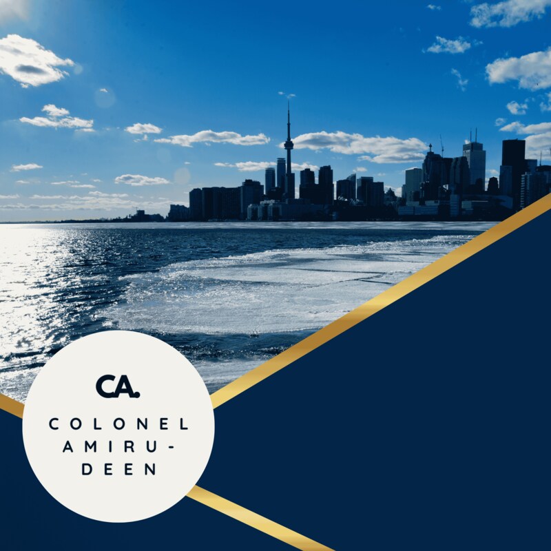 Artwork for podcast Colonel Amirudeen