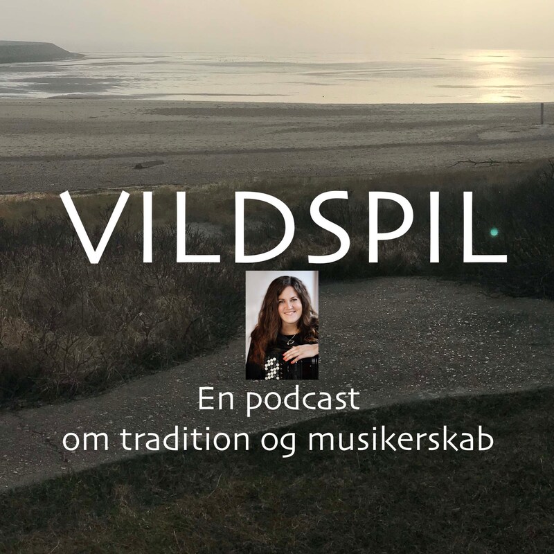 Artwork for podcast Vildspil