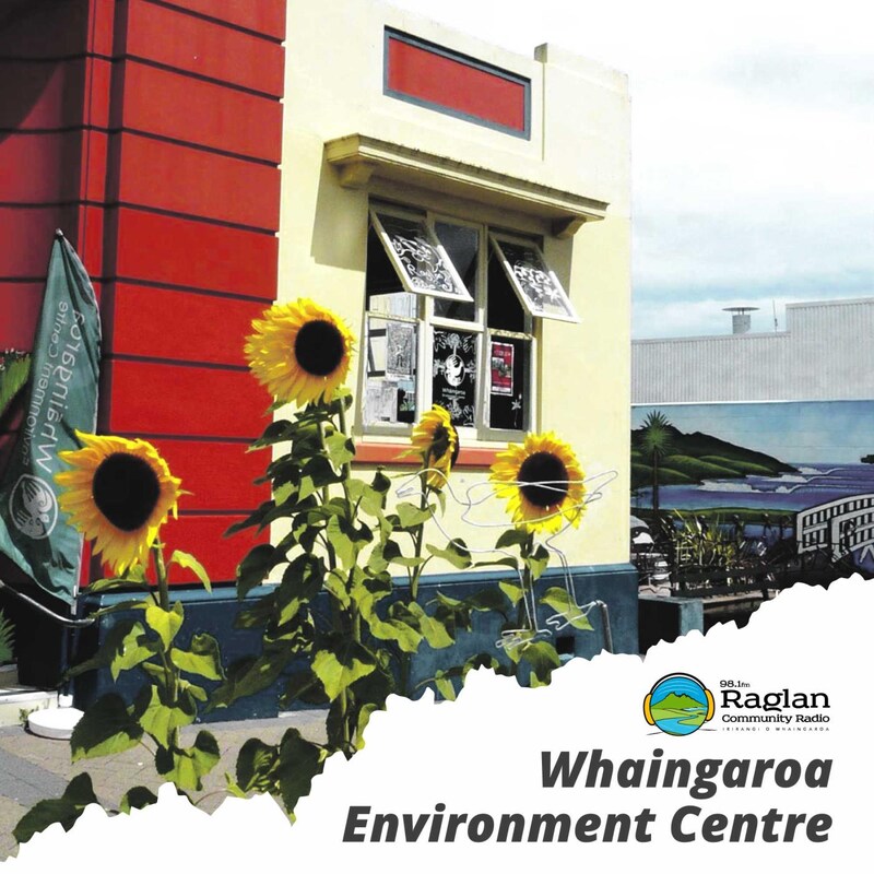 Artwork for podcast Whaingaroa Environment