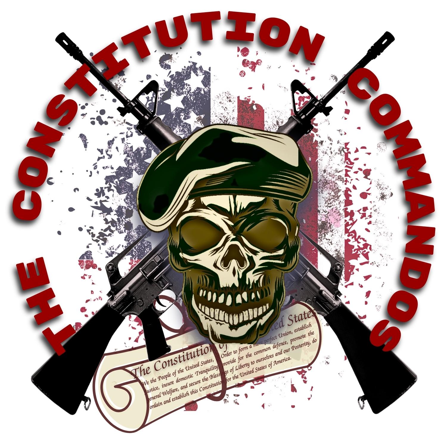 Show artwork for The Constitution Commandos