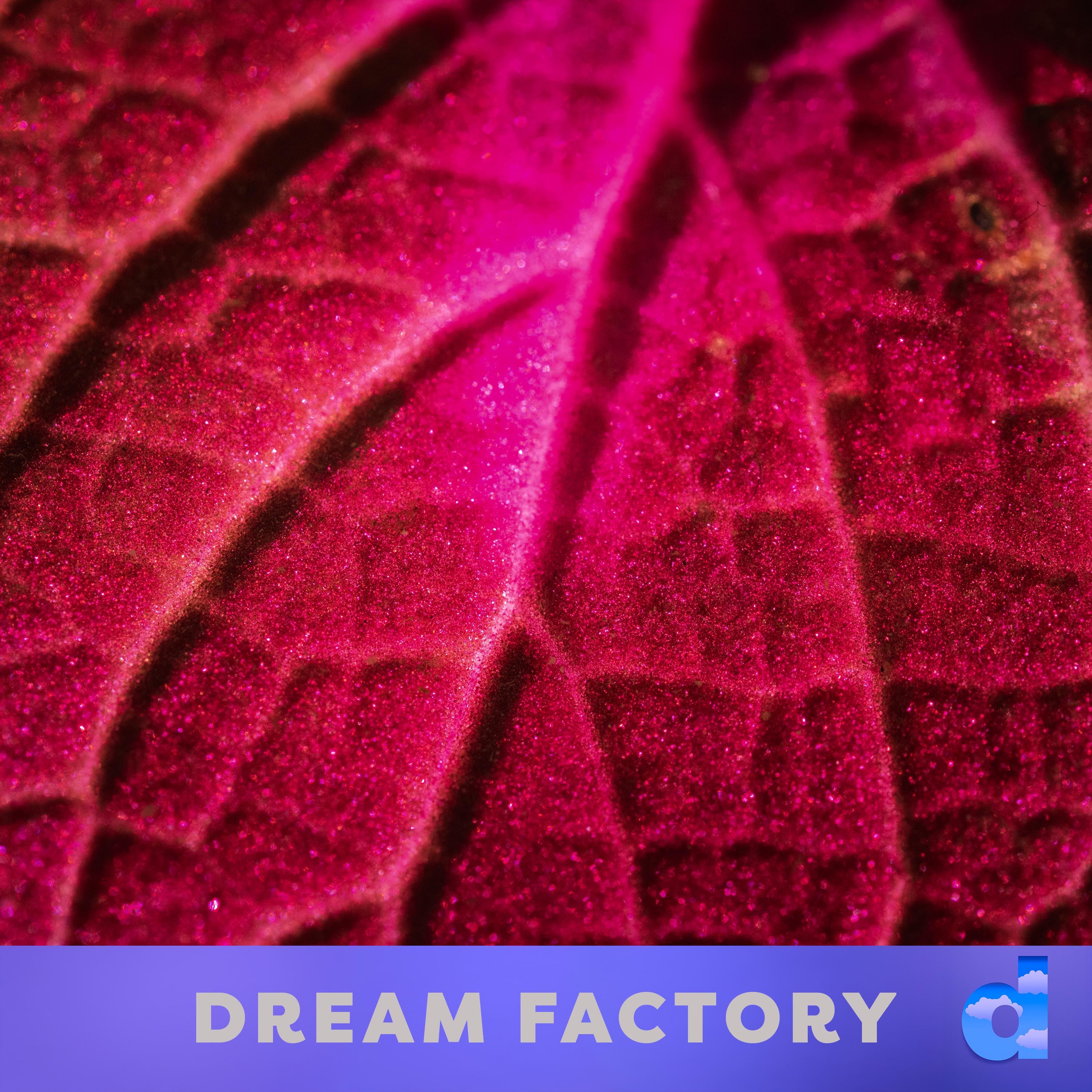 Dream Factory DK