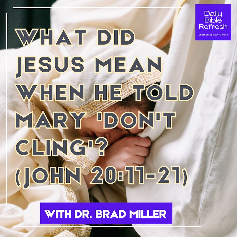 Artwork for podcast Daily Bible Refresh