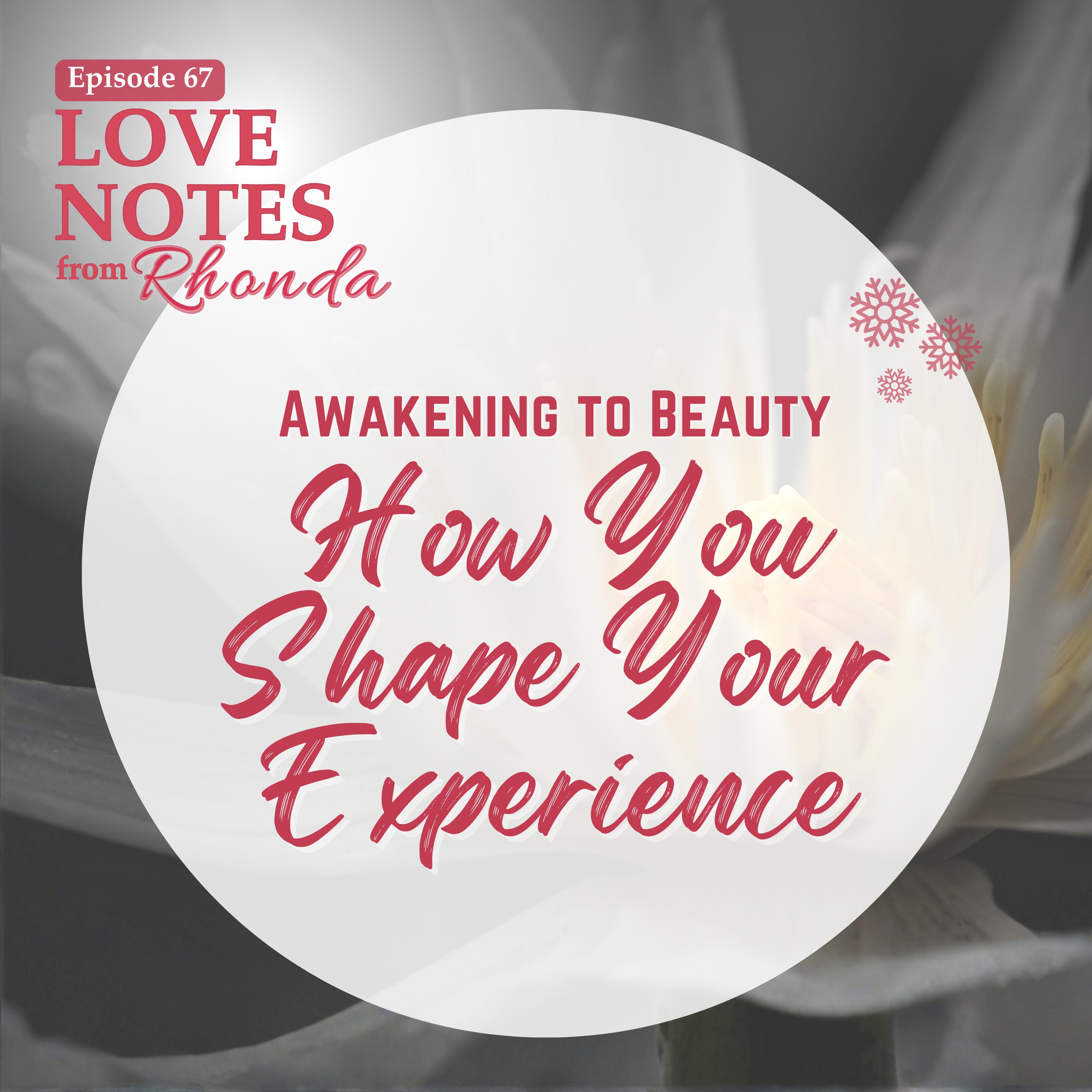 Awakening to Beauty: How You Shape Your Experience