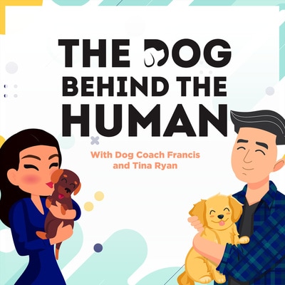 Artwork for podcast The Dog Behind The Human