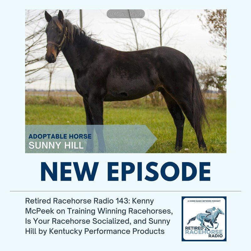 Artwork for podcast Retired Racehorse Radio
