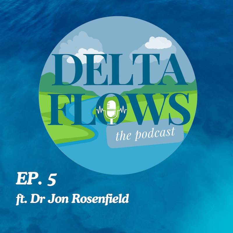 Artwork for podcast Delta Flows