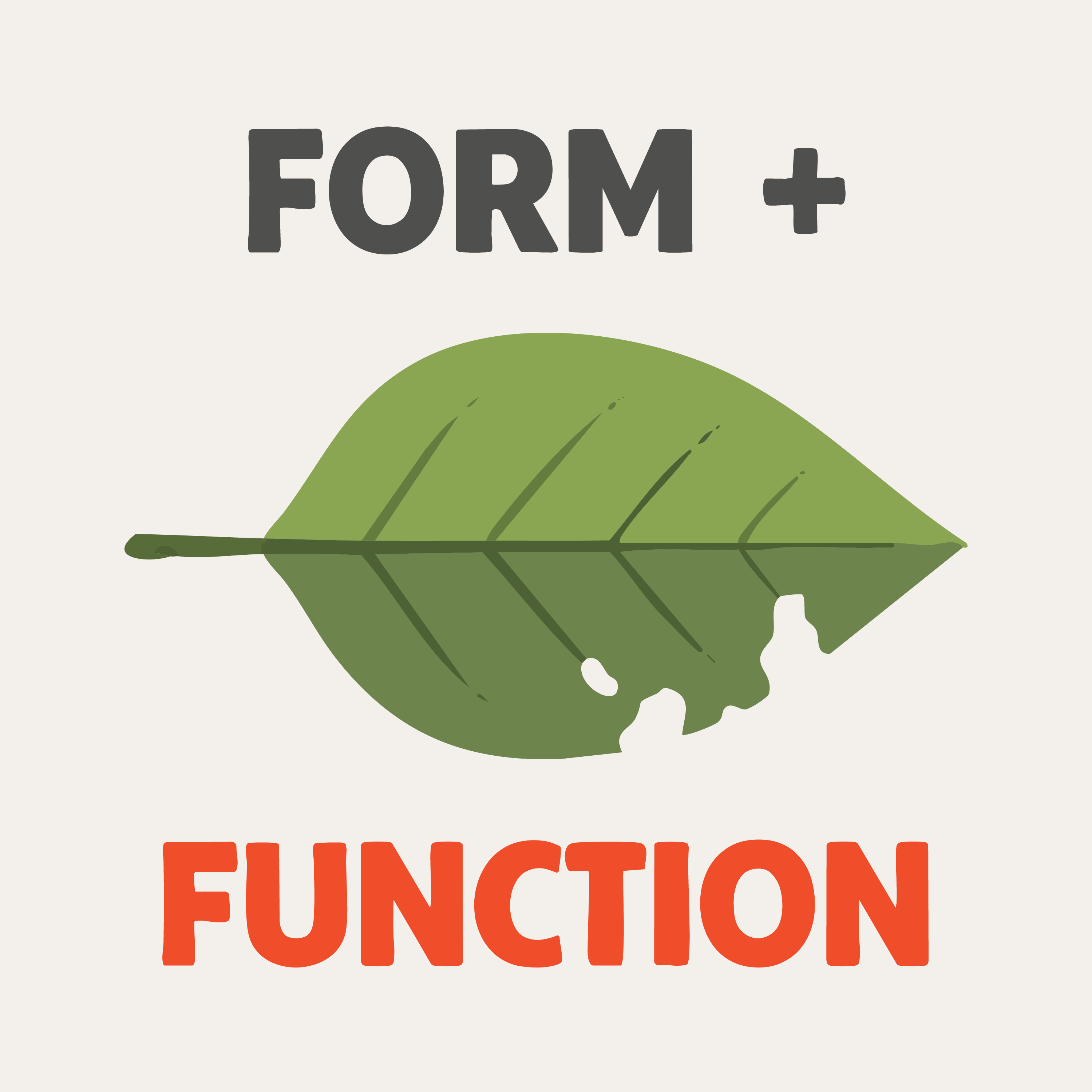 Okay, but what makes a yard a bird paradise?