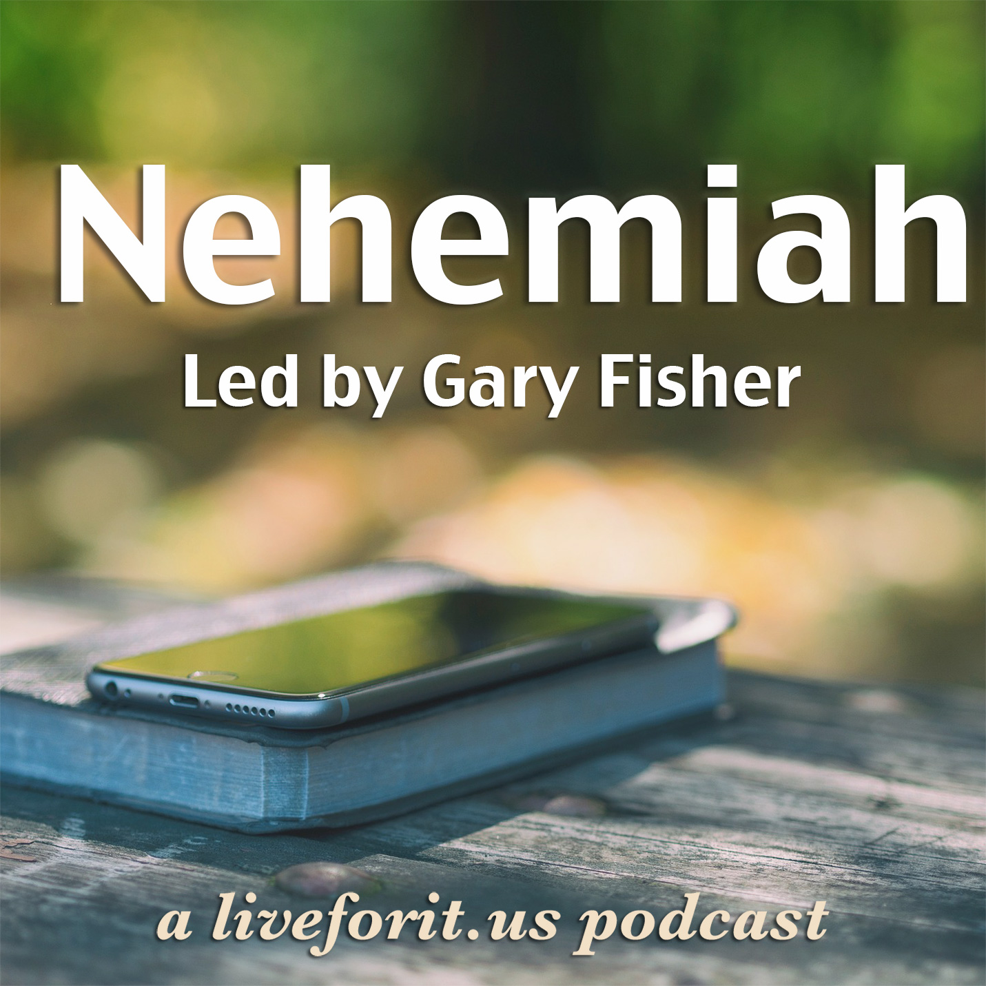 Artwork for podcast Liveforit Nehemiah Study